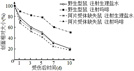 生物高考真题 | 2023年高考生物真题(北京卷)-第6张图片-四季读书网
