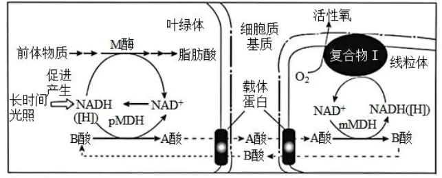 生物高考真题 | 2023年高考生物真题(北京卷)-第14张图片-四季读书网