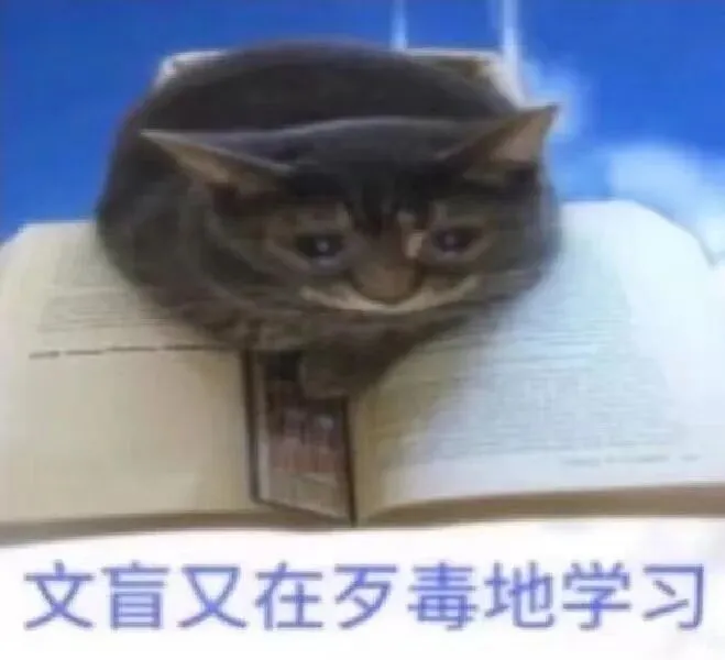 扒出来25个真题名解,编都编不出来,好气!����(一些学校还尤其爱考)-第3张图片-四季读书网