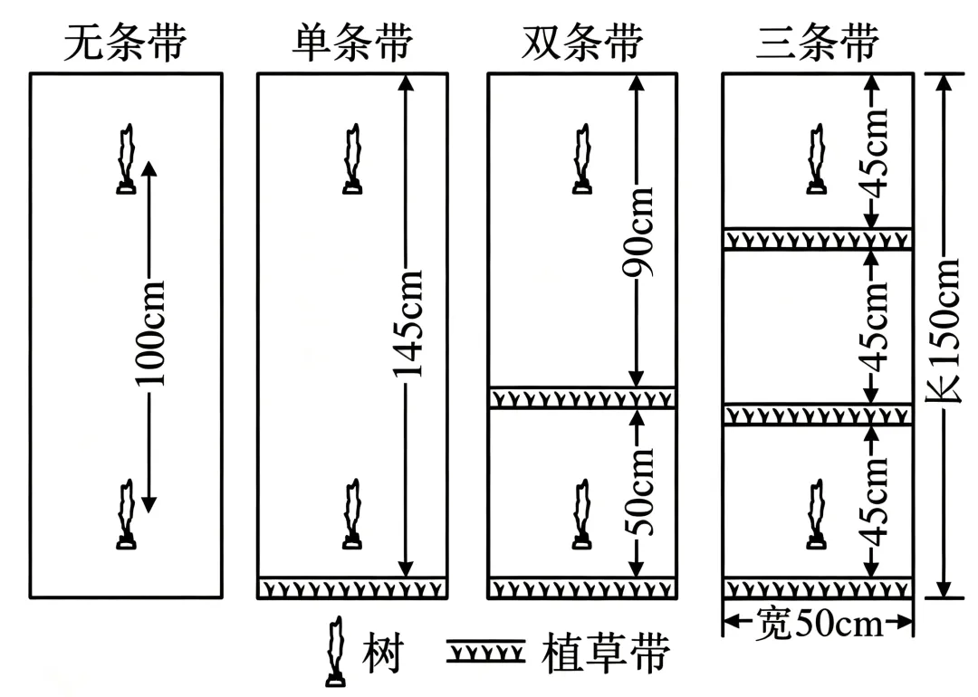 2026年高考海南卷地理高考真题(网络 收集版)-第5张图片-四季读书网 2026年高考海南卷地理高考真题(网络 收集版)-第5张图片-四季读书网