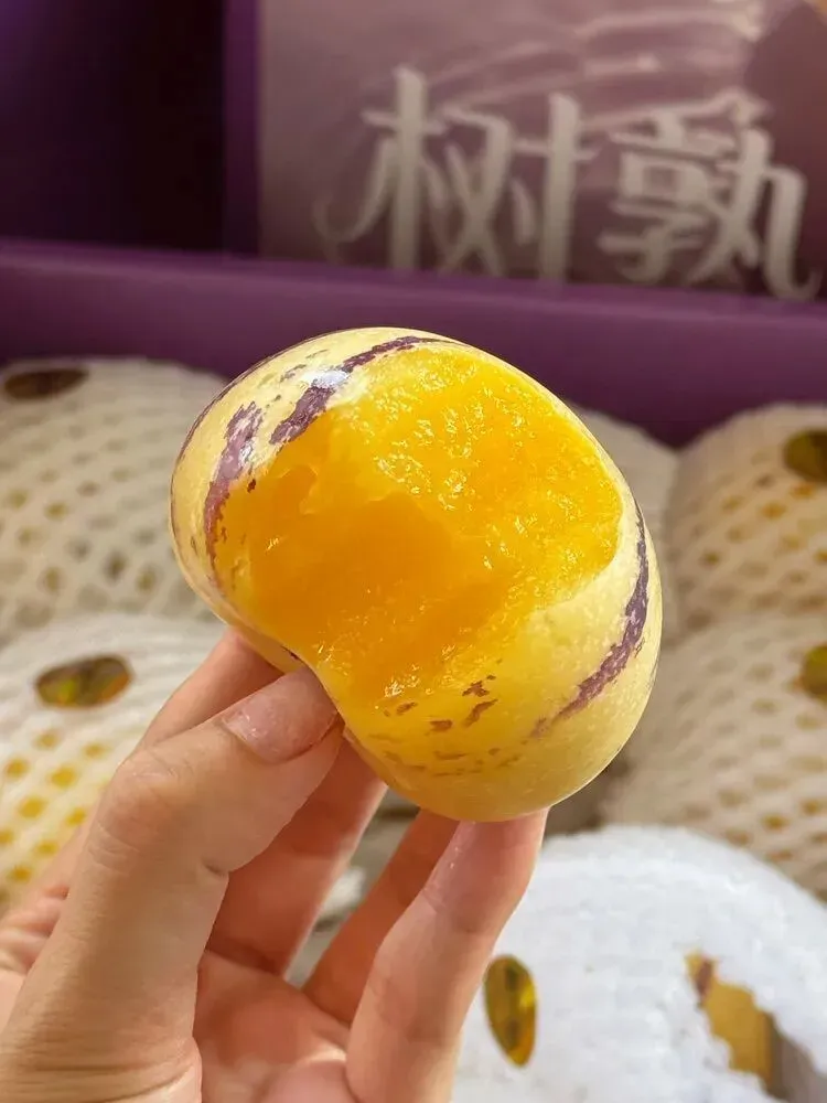 我高考、上大学和找工作的经历-第10张图片-四季读书网