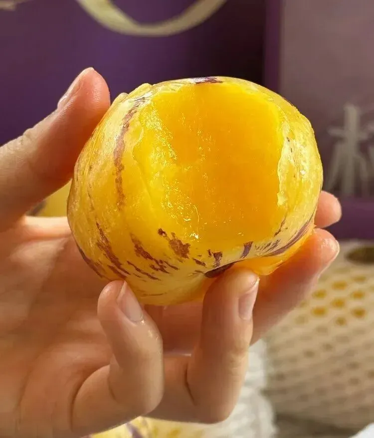 我高考、上大学和找工作的经历-第11张图片-四季读书网