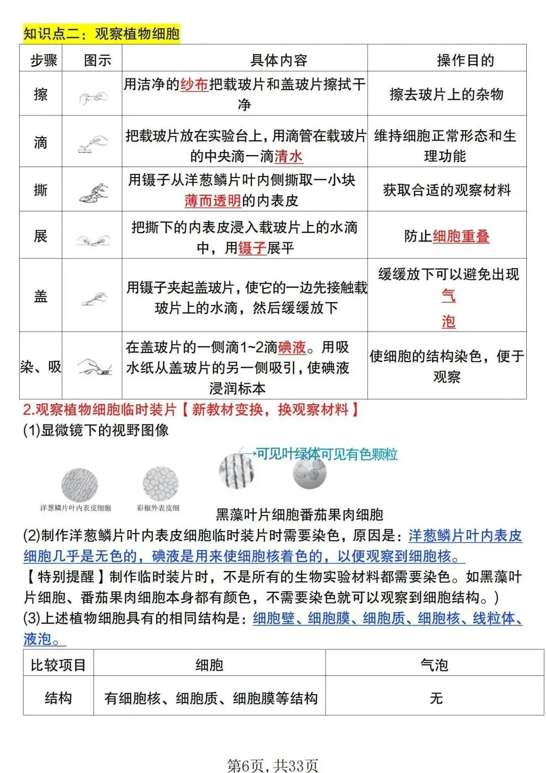 初一新版 2026 年七上生物全册基础知识点背诵总结,电子打印版!-第5张图片-四季读书网 初一新版 2026 年七上生物全册基础知识点背诵总结,电子打印版!-第5张图片-四季读书网