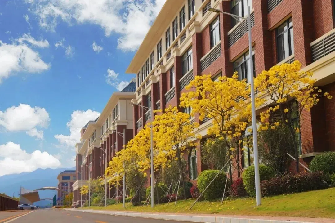 肇庆华赋|湾区优质教育新坐标,广州中考可填报的优质学府!-第10张图片-四季读书网