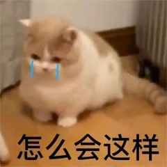 考研真题二刷,这样更高效!-第2张图片-四季读书网