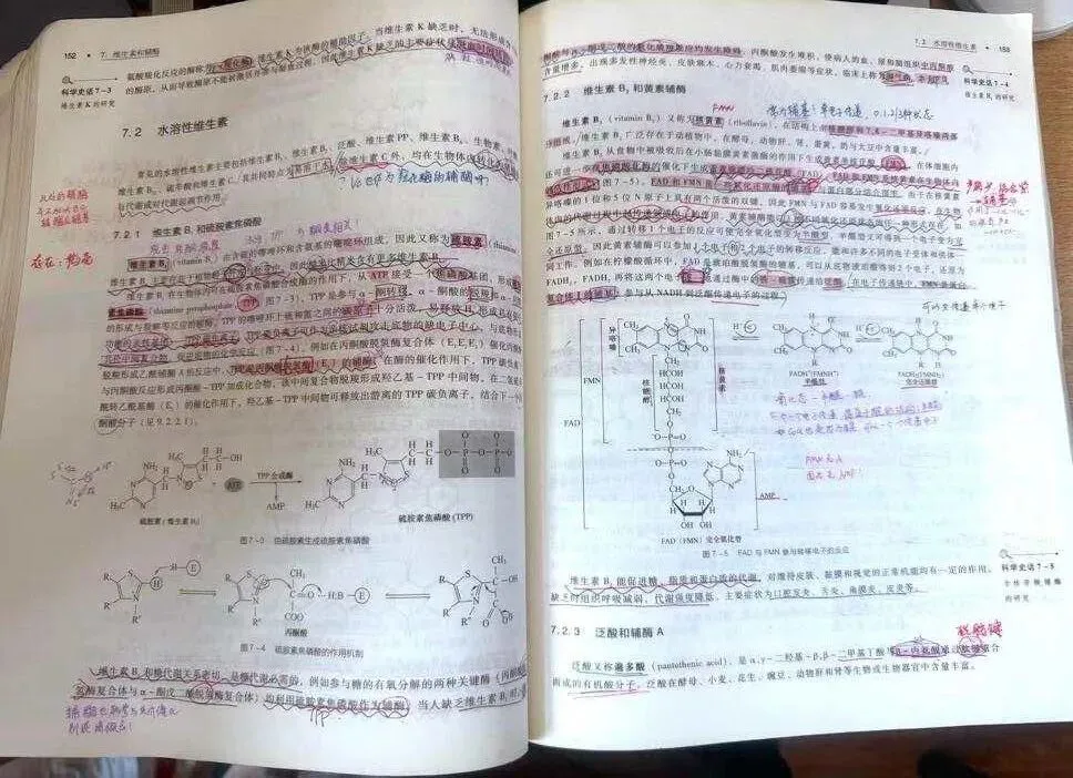 初三暑假零基础起步,两年后如何做到全国第七进国集?-第3张图片-四季读书网
