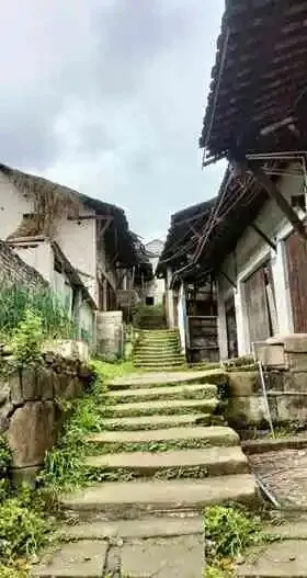 高考前夜整条街黑了下来,邻居们把蜡烛点到了路口-第1张图片-四季读书网