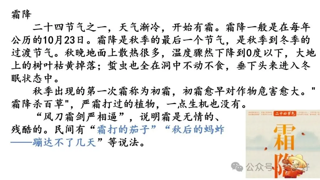 2027高考小说精读精析:反套路文本《霜降夜》-第9张图片-四季读书网