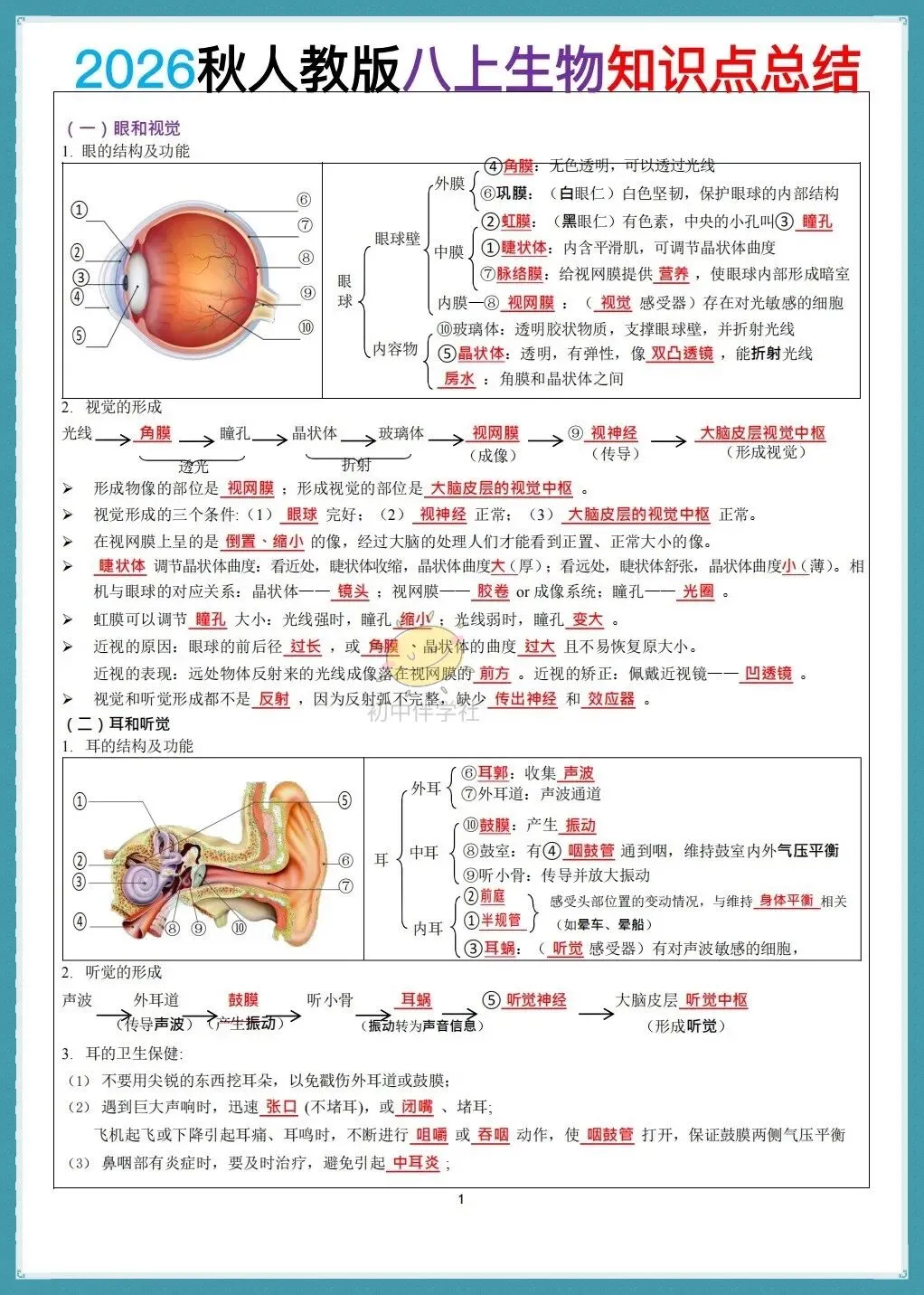 初二2026秋(人教版)八年级上册生物知识点总结默写小纸条(背诵+默写版!)-第3张图片-四季读书网 初二2026秋(人教版)八年级上册生物知识点总结默写小纸条(背诵+默写版!)-第3张图片-四季读书网