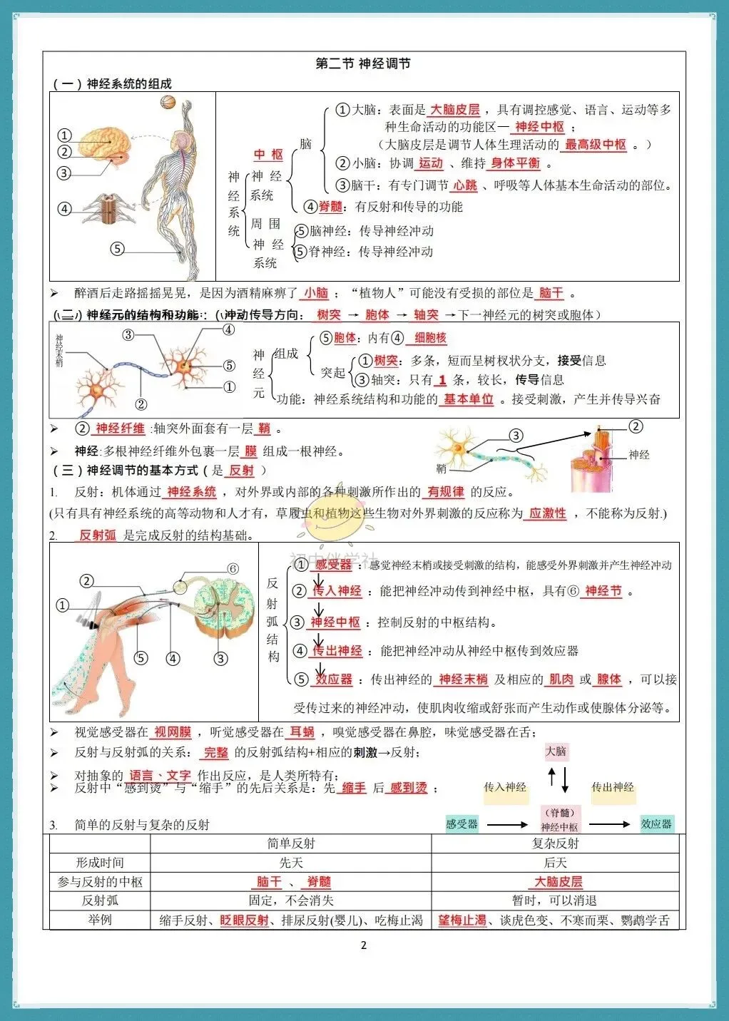 初二2026秋(人教版)八年级上册生物知识点总结默写小纸条(背诵+默写版!)-第4张图片-四季读书网 初二2026秋(人教版)八年级上册生物知识点总结默写小纸条(背诵+默写版!)-第4张图片-四季读书网