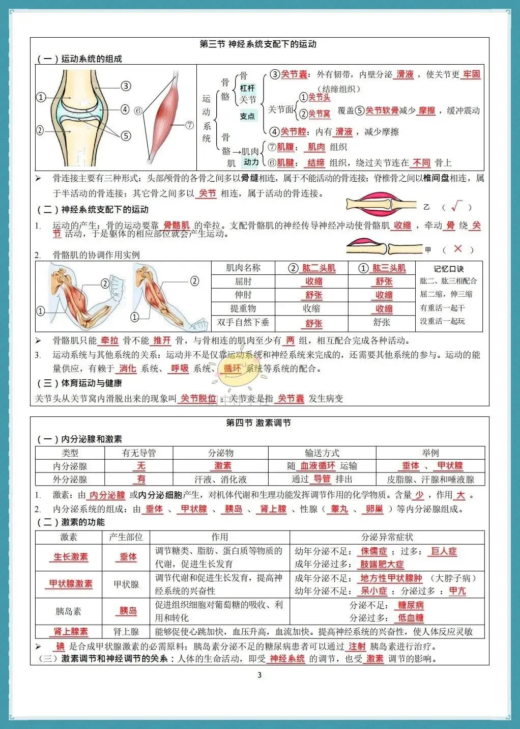 初二2026秋(人教版)八年级上册生物知识点总结默写小纸条(背诵+默写版!)-第5张图片-四季读书网 初二2026秋(人教版)八年级上册生物知识点总结默写小纸条(背诵+默写版!)-第5张图片-四季读书网