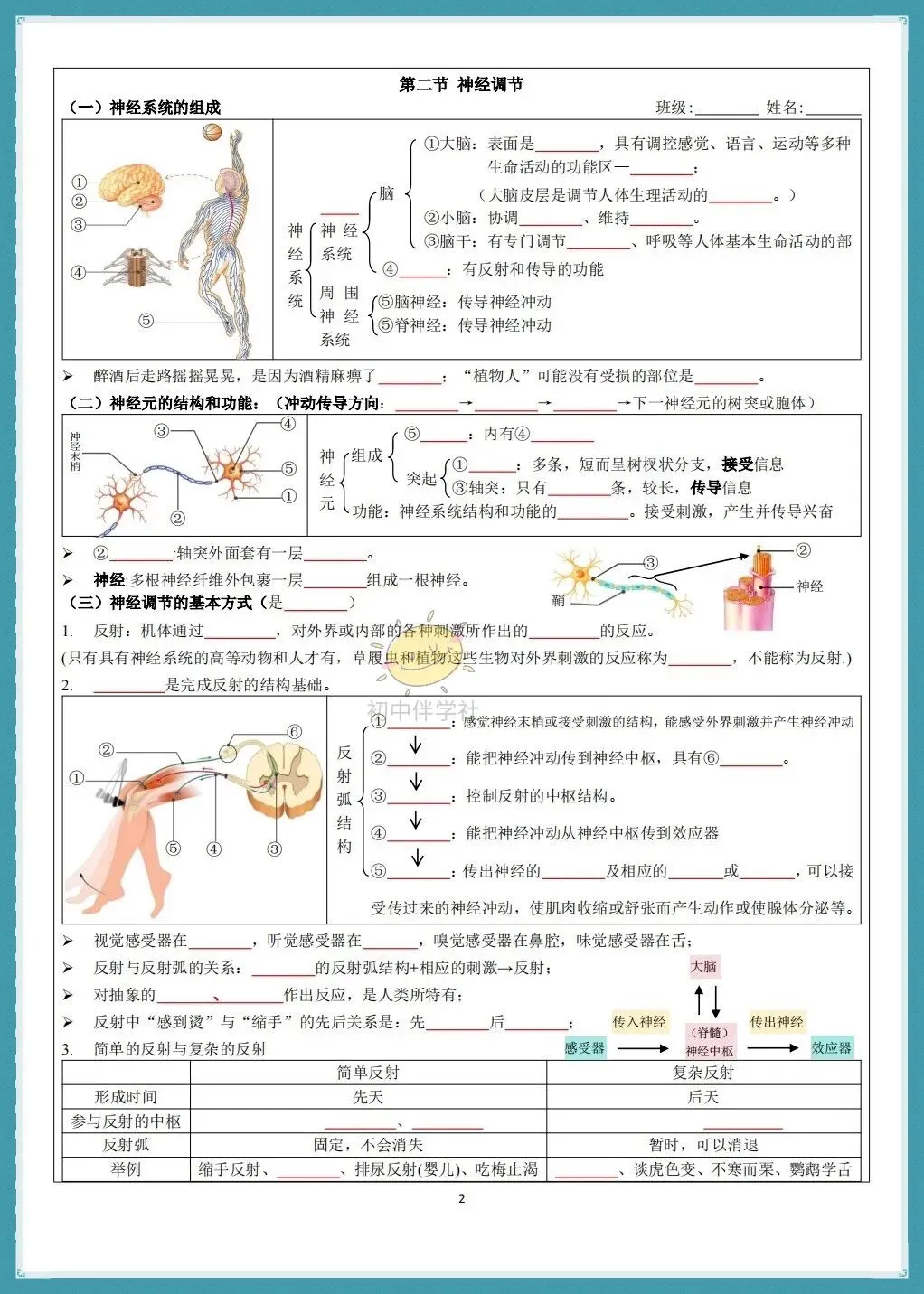 初二2026秋(人教版)八年级上册生物知识点总结默写小纸条(背诵+默写版!)-第10张图片-四季读书网 初二2026秋(人教版)八年级上册生物知识点总结默写小纸条(背诵+默写版!)-第10张图片-四季读书网