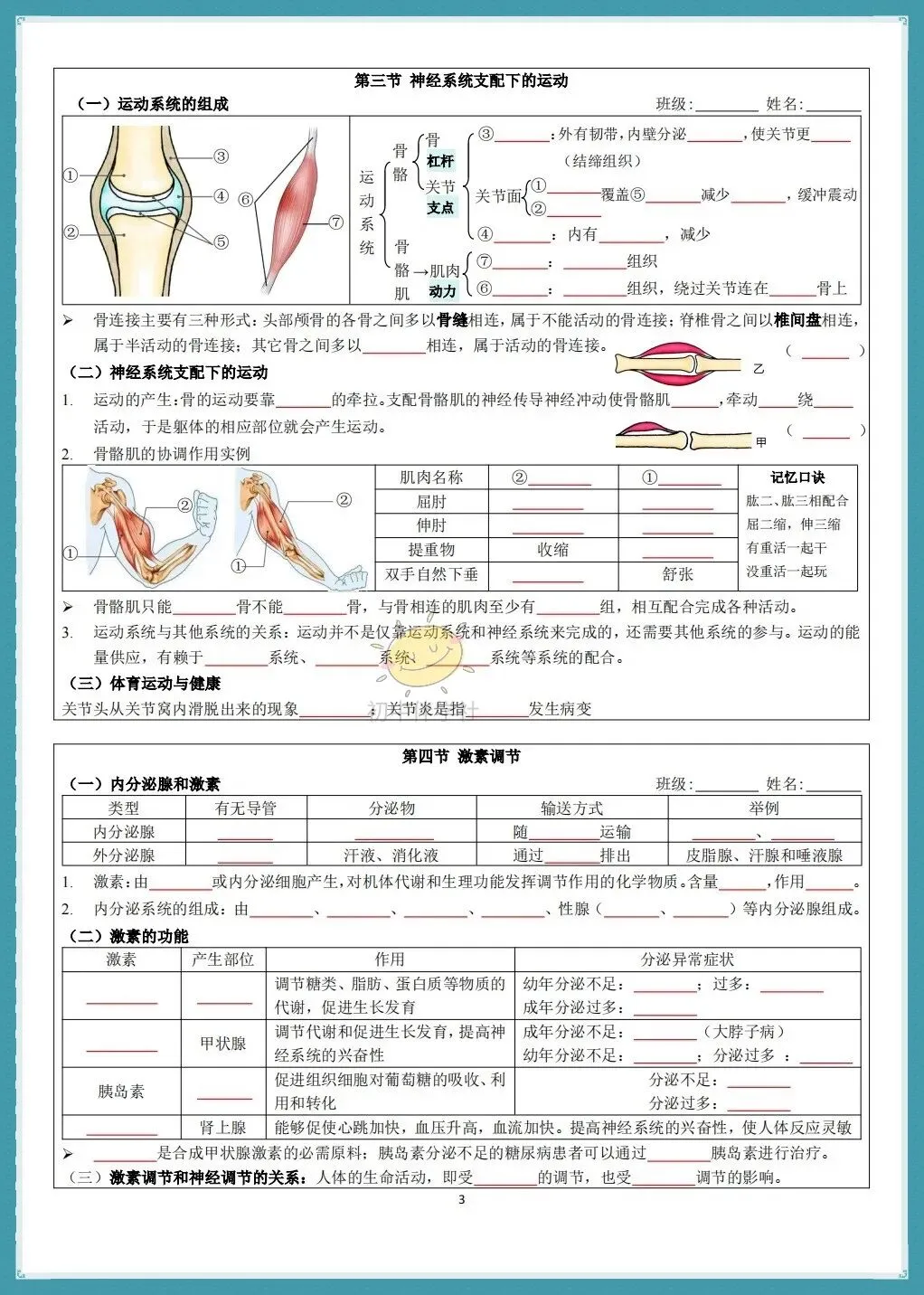 初二2026秋(人教版)八年级上册生物知识点总结默写小纸条(背诵+默写版!)-第11张图片-四季读书网 初二2026秋(人教版)八年级上册生物知识点总结默写小纸条(背诵+默写版!)-第11张图片-四季读书网