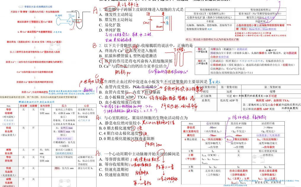 27考研西综 | t-t-师-兄《十年真题复习版 》pdf-第1张图片-四季读书网 27考研西综 | t-t-师-兄《十年真题复习版 》pdf-第1张图片-四季读书网