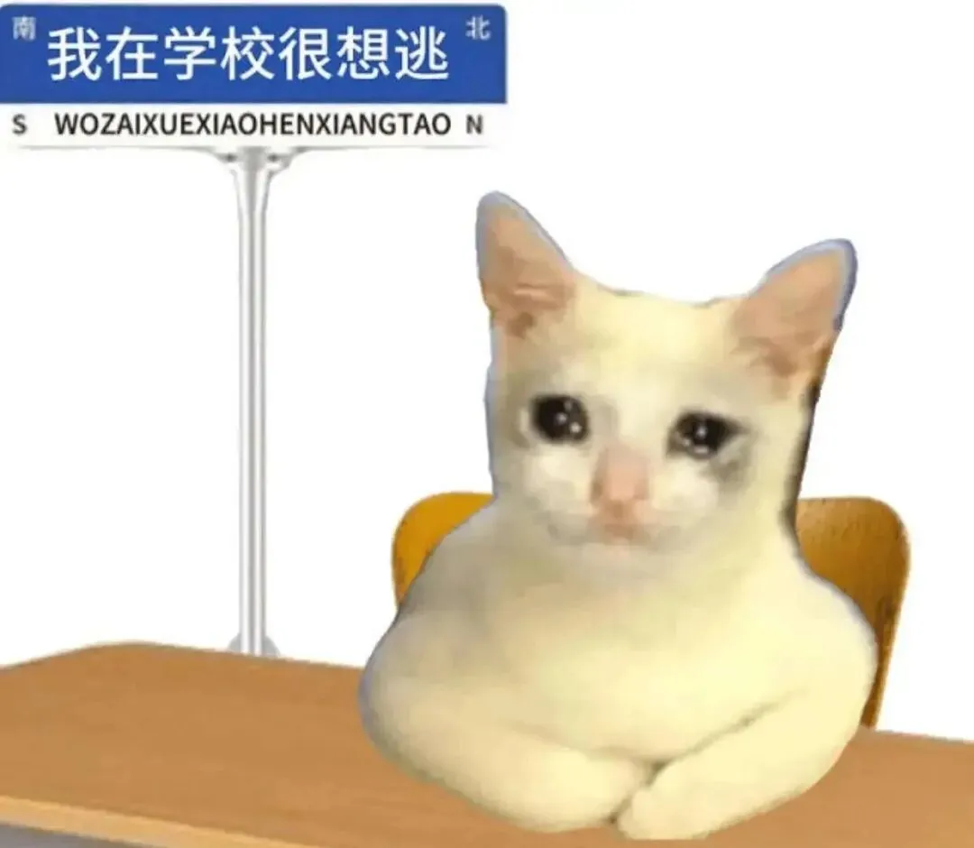 初三了,第一次月考如何备考?-第3张图片-四季读书网 初三了,第一次月考如何备考?-第3张图片-四季读书网