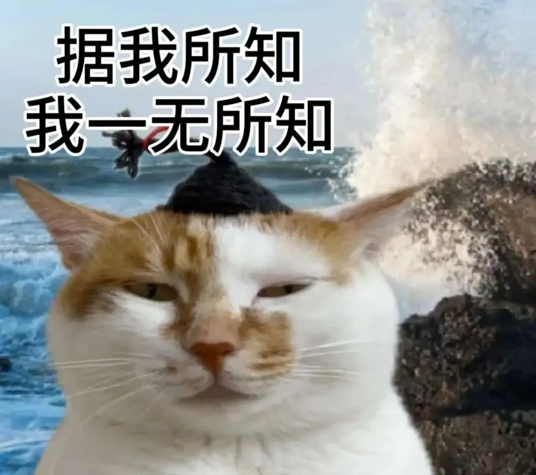 初三了,第一次月考如何备考?-第4张图片-四季读书网 初三了,第一次月考如何备考?-第4张图片-四季读书网