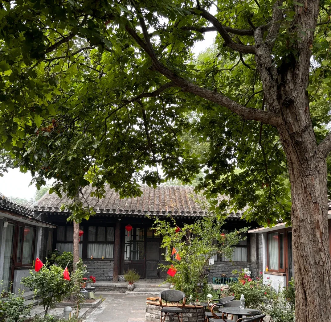 【中考阅读指导】花园大院(肖复兴)山东菏泽2023-第5张图片-四季读书网 【中考阅读指导】花园大院(肖复兴)山东菏泽2023-第5张图片-四季读书网