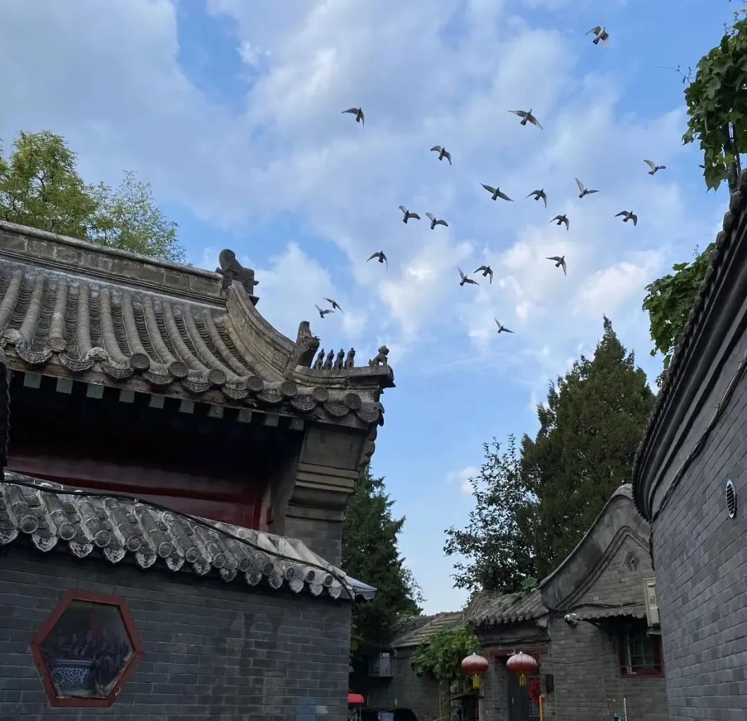 【中考阅读指导】花园大院(肖复兴)山东菏泽2023-第10张图片-四季读书网 【中考阅读指导】花园大院(肖复兴)山东菏泽2023-第10张图片-四季读书网
