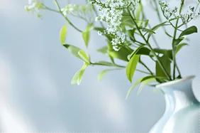河南新高考:不止看高考分数,综合素质评价已成为多元升学的关键指标-第14张图片-四季读书网 河南新高考:不止看高考分数,综合素质评价已成为多元升学的关键指标-第14张图片-四季读书网