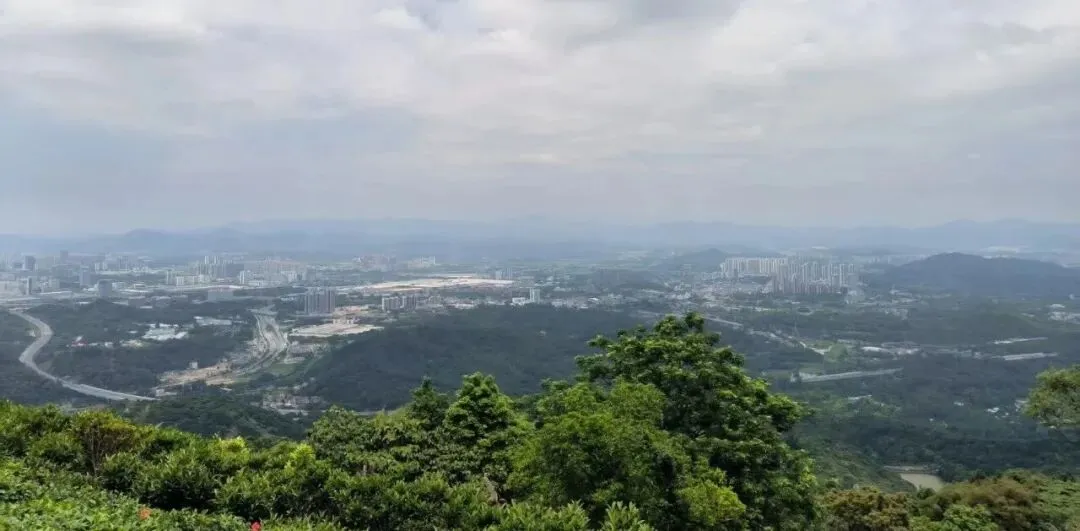 初一娃第一次考试分数出炉,110的总分考84.5-第1张图片-四季读书网