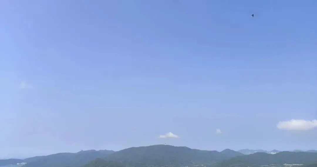 初一娃第一次考试分数出炉,110的总分考84.5-第2张图片-四季读书网