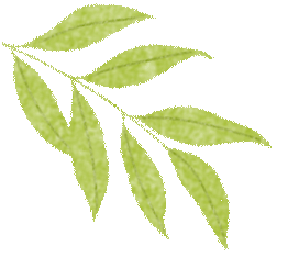初一新生适应期:家长陪伴指南-第10张图片-四季读书网