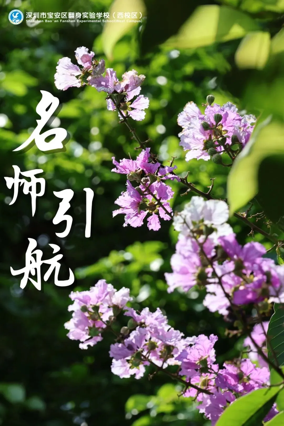 初一新生适应期:家长陪伴指南-第40张图片-四季读书网