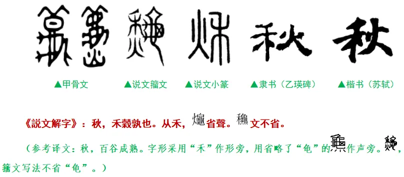 【永军专栏】探字寻根理中考13:2022浙江温州中考综合-第5张图片-四季读书网