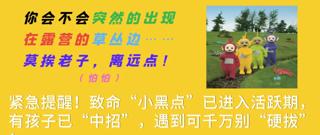 从体能到技巧,康复医学如何为体育中考“开外挂”?-第16张图片-四季读书网 从体能到技巧,康复医学如何为体育中考“开外挂”?-第16张图片-四季读书网