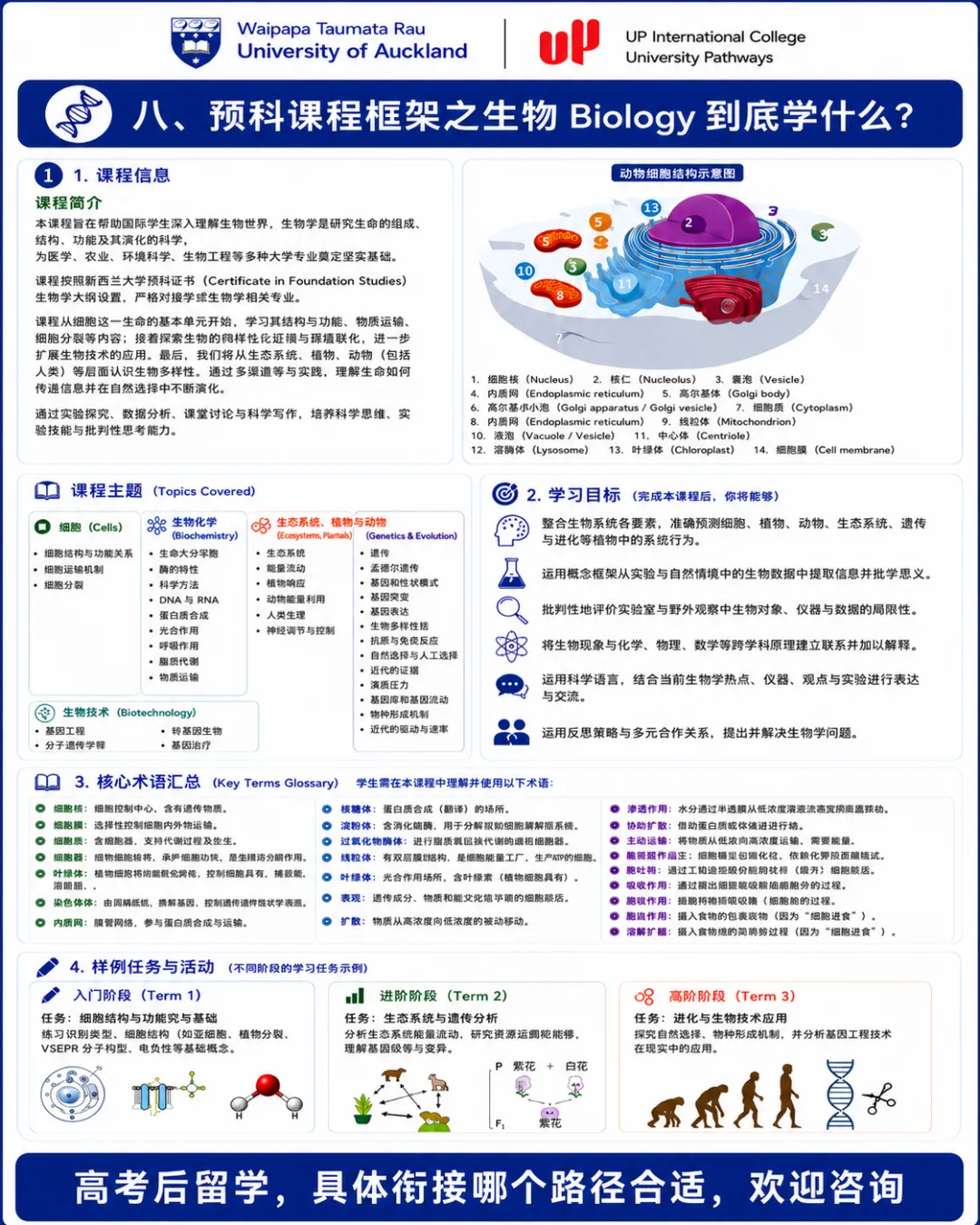 高考后留学新西兰:没够985/211线,就没有好大学了吗?八大直录要求,QS 2027 最新排名对标,高一高二预科比“硬卷三年”更省时间?-第33张图片-四季读书网 高考后留学新西兰:没够985/211线,就没有好大学了吗?八大直录要求,QS 2027 最新排名对标,高一高二预科比“硬卷三年”更省时间?-第33张图片-四季读书网