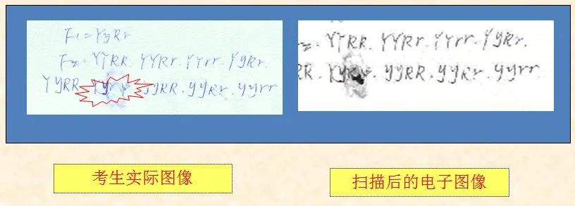 2026年成人高考考前注意事项-第41张图片-四季读书网
