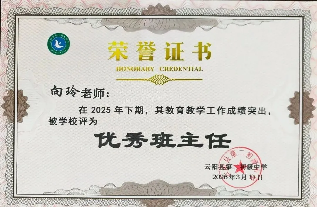【初二中教育集团'五名工程'——名教师】向玲:每个孩子,都是一道独特的数学题-第6张图片-四季读书网