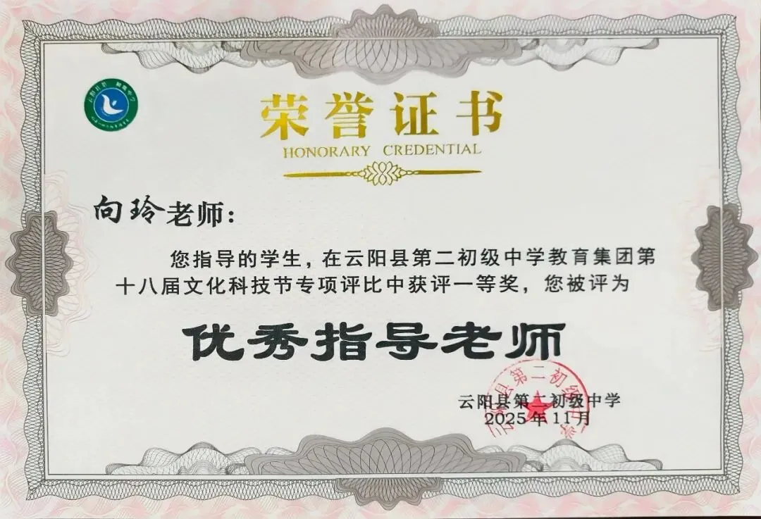 【初二中教育集团'五名工程'——名教师】向玲:每个孩子,都是一道独特的数学题-第7张图片-四季读书网