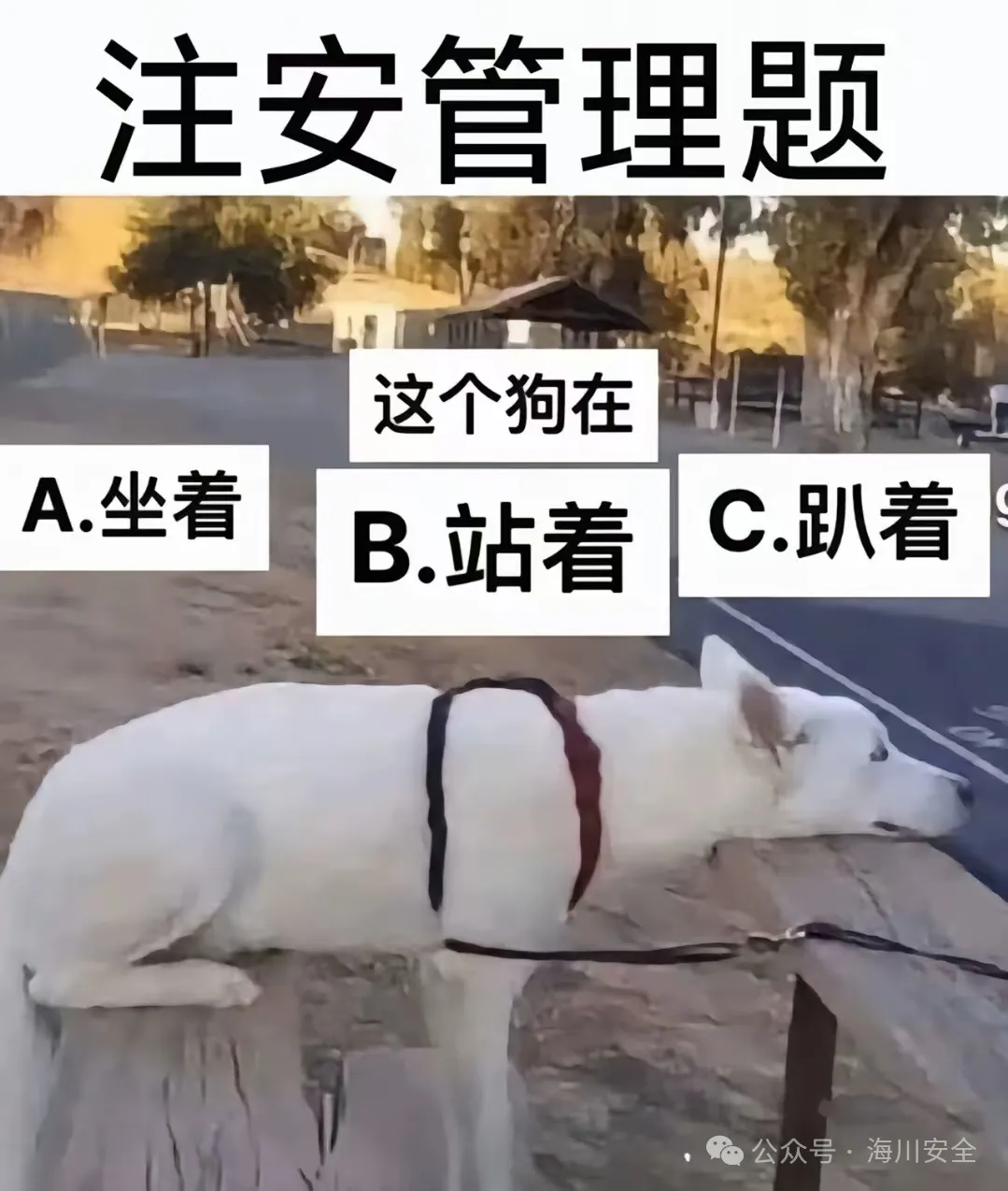 2025年注安管理真题及答案-第1张图片-四季读书网