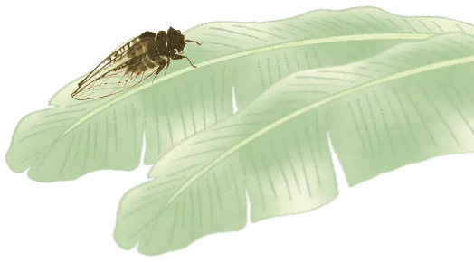 中考阅读:读懂赏析题,于文字间细品深意-第44张图片-四季读书网