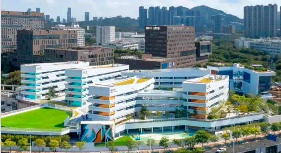 首届中考交卷:普高率近80%,14人进四大,6人进深中!南科大附属实验学校到底什么水平?-第9张图片-四季读书网