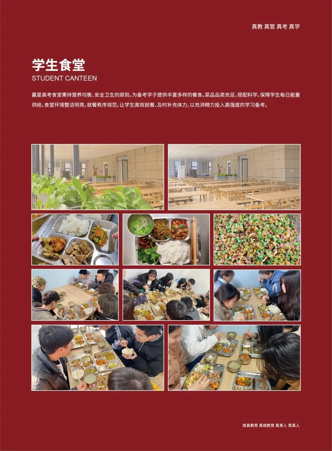 赢星高考 | 2027届艺考文化课招生简章-第34张图片-四季读书网 赢星高考 | 2027届艺考文化课招生简章-第34张图片-四季读书网