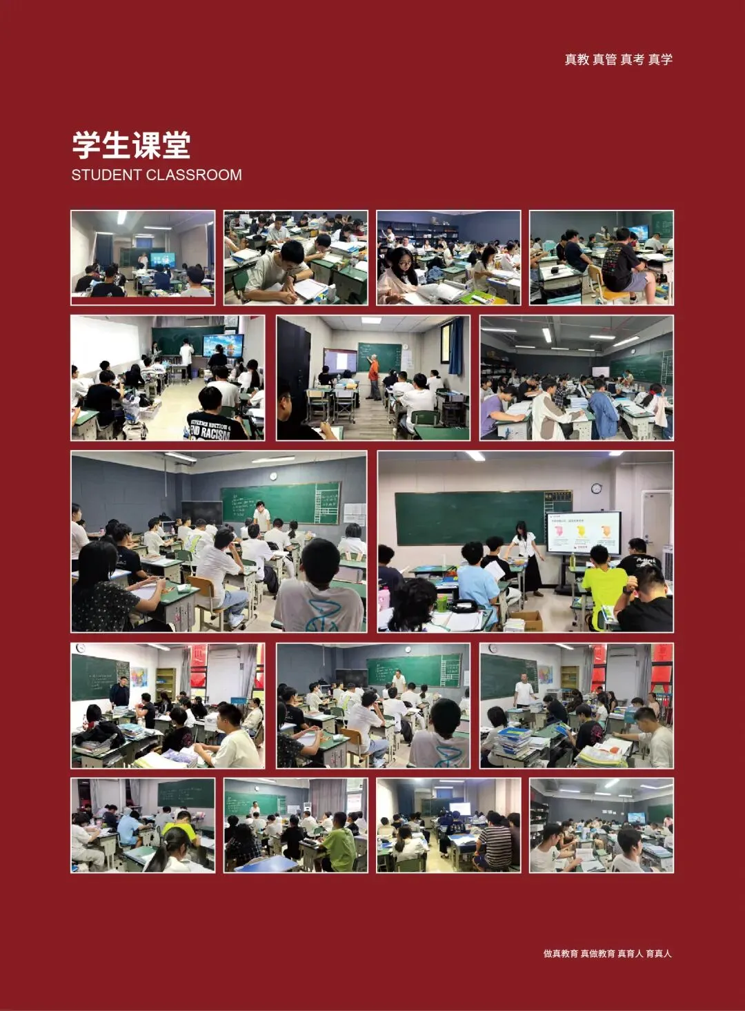 赢星高考 | 2027届艺考文化课招生简章-第39张图片-四季读书网 赢星高考 | 2027届艺考文化课招生简章-第39张图片-四季读书网
