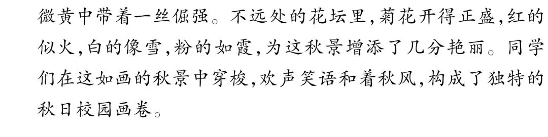 【初一.语文】 2026-2027年10月考模拟卷|附全科10月月考试卷及答案!-第8张图片-四季读书网 【初一.语文】 2026-2027年10月考模拟卷|附全科10月月考试卷及答案!-第8张图片-四季读书网