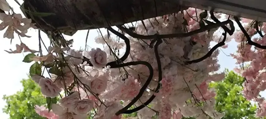 真题精析|2026 北京中考作文:《语言的滋味》《攀登是幸福的》范文 + 写作思路-第1张图片-四季读书网 真题精析|2026 北京中考作文:《语言的滋味》《攀登是幸福的》范文 + 写作思路-第1张图片-四季读书网