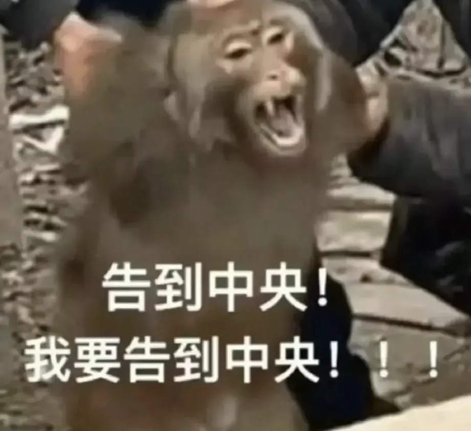 哲学“真题”刷得越多,死得越快!?-第5张图片-四季读书网 哲学“真题”刷得越多,死得越快!?-第5张图片-四季读书网