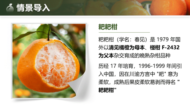 【中考生物复习课件】第十七讲——「生物的生殖」-第5张图片-四季读书网 【中考生物复习课件】第十七讲——「生物的生殖」-第5张图片-四季读书网