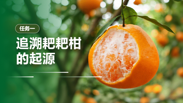 【中考生物复习课件】第十七讲——「生物的生殖」-第7张图片-四季读书网 【中考生物复习课件】第十七讲——「生物的生殖」-第7张图片-四季读书网