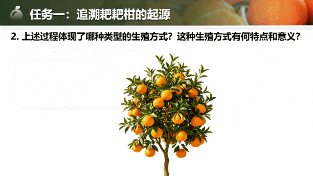 【中考生物复习课件】第十七讲——「生物的生殖」-第9张图片-四季读书网 【中考生物复习课件】第十七讲——「生物的生殖」-第9张图片-四季读书网