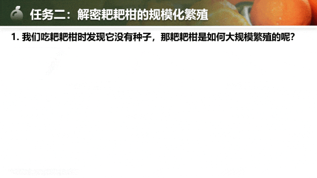 【中考生物复习课件】第十七讲——「生物的生殖」-第12张图片-四季读书网 【中考生物复习课件】第十七讲——「生物的生殖」-第12张图片-四季读书网