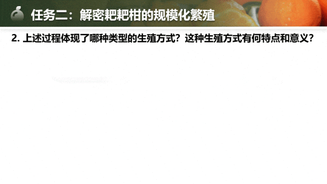 【中考生物复习课件】第十七讲——「生物的生殖」-第13张图片-四季读书网 【中考生物复习课件】第十七讲——「生物的生殖」-第13张图片-四季读书网