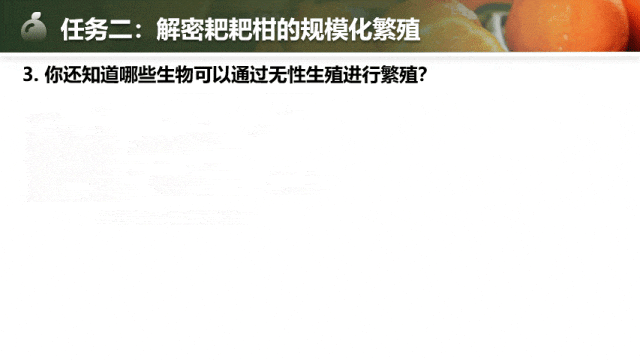 【中考生物复习课件】第十七讲——「生物的生殖」-第14张图片-四季读书网 【中考生物复习课件】第十七讲——「生物的生殖」-第14张图片-四季读书网