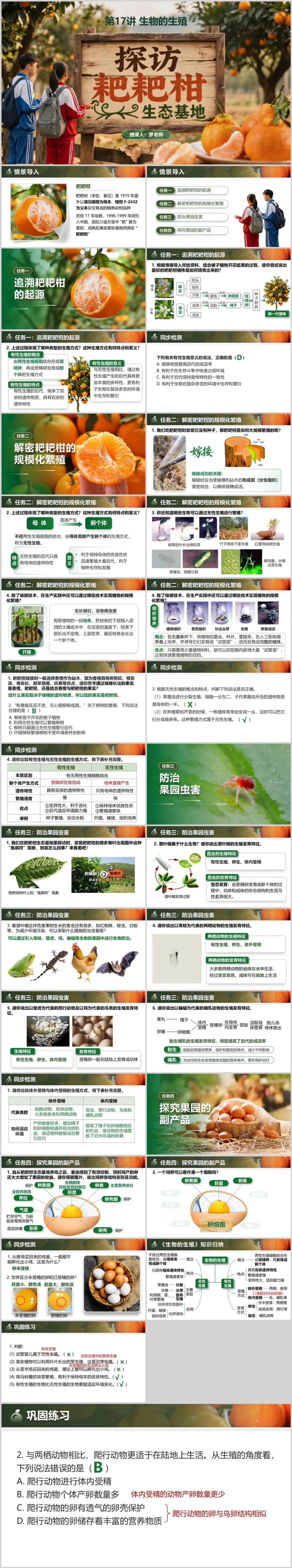 【中考生物复习课件】第十七讲——「生物的生殖」-第16张图片-四季读书网 【中考生物复习课件】第十七讲——「生物的生殖」-第16张图片-四季读书网