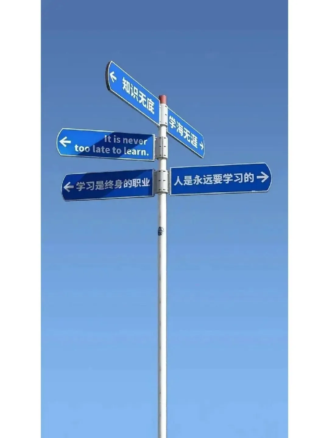 清华695分毕业生重新高考,46岁才能当医生,他到底图什么?-第1张图片-四季读书网