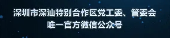 大年初三,深圳市委书记市长检查疫情防控:科学精准从严从紧打好打赢这场硬仗-第2张图片-四季读书网 大年初三,深圳市委书记市长检查疫情防控:科学精准从严从紧打好打赢这场硬仗-第2张图片-四季读书网